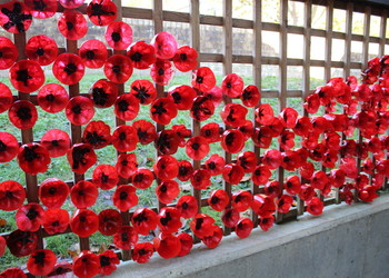 Series of events across VIAT schools to commemorate Remembrance Day